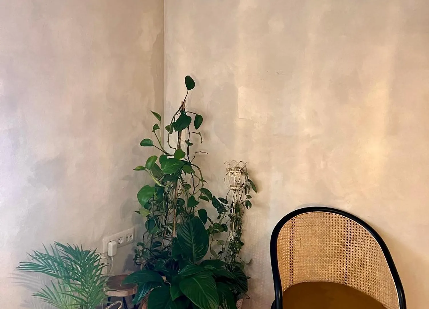 Studios Eco - Suites Corredera 15 ベヘール・デ・ラ・フロンテーラ