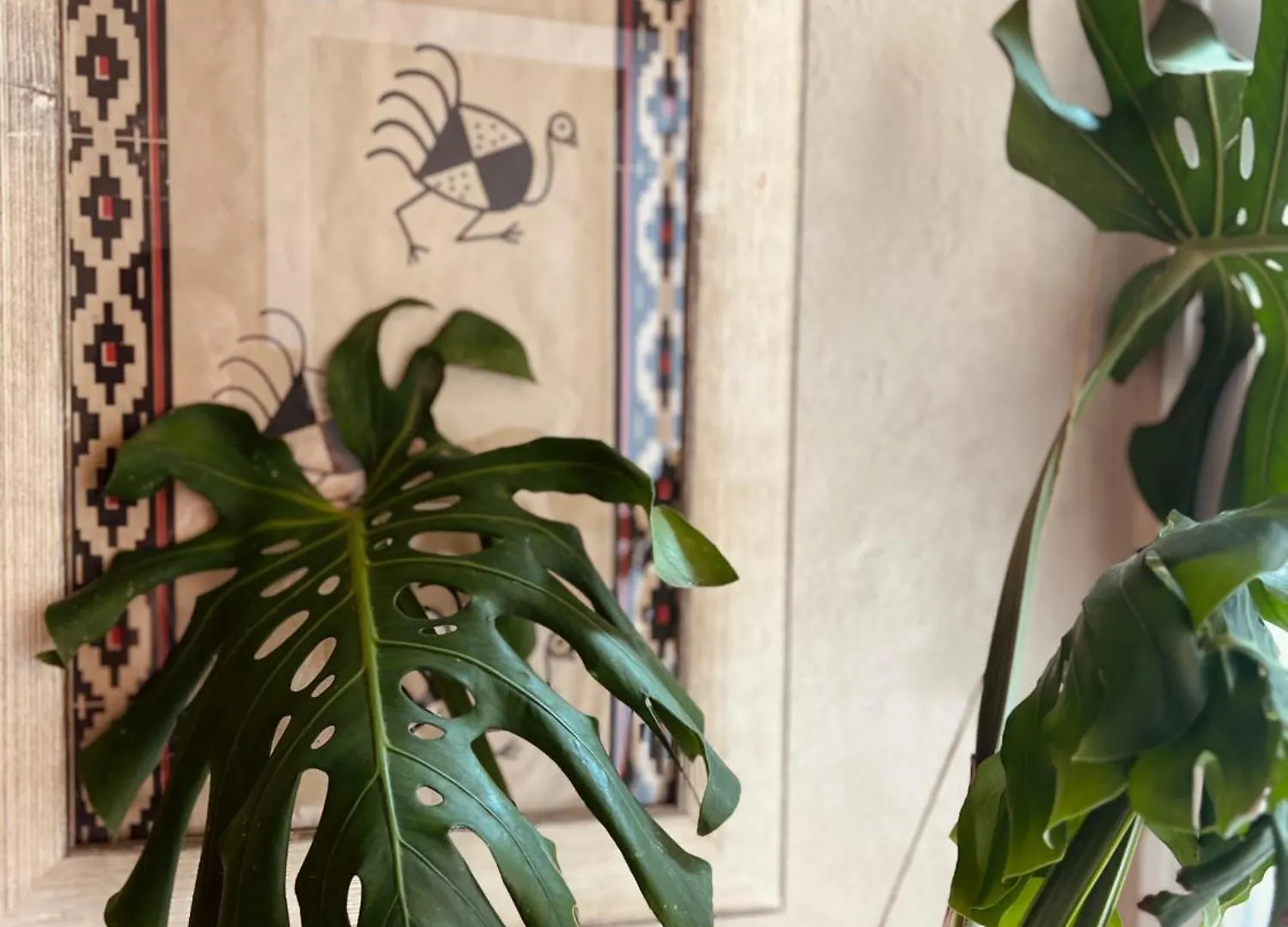アパート Studios Eco - Suites Corredera 15 ベヘール・デ・ラ・フロンテーラ